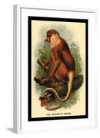 The Proboscis Monkey-G.r. Waterhouse-Framed Art Print