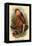 The Proboscis Monkey-G.r. Waterhouse-Framed Stretched Canvas