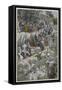 The Procession on the Mount of Olives-James Tissot-Framed Stretched Canvas