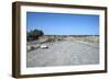 The Processional Way, Babylon, Iraq, 1977-Vivienne Sharp-Framed Photographic Print