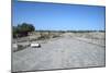 The Processional Way, Babylon, Iraq, 1977-Vivienne Sharp-Mounted Photographic Print