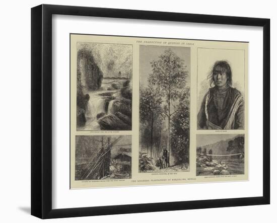 The Production of Quinine in India-null-Framed Giclee Print