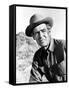 The Professionals, Robert Ryan, 1966-null-Framed Stretched Canvas