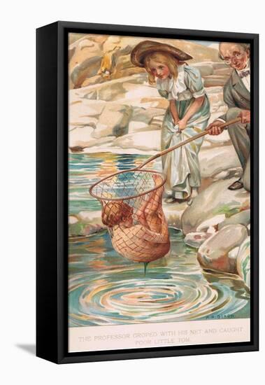 The Professor Groped with His Net and Caught Poor Little Tom-Arthur A. Dixon-Framed Stretched Canvas