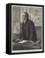 The Professor-Henry Stacey Marks-Framed Stretched Canvas