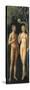 The Progenitors in Eden and the Temptation (Adam and Eve)-null-Stretched Canvas