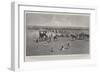 The Prohibition of the Importation of Foreign Cattle into England-null-Framed Giclee Print