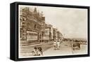 Framed Canvas