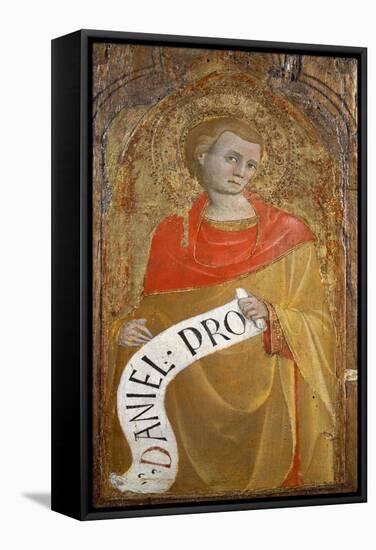 The Prophet Daniel-null-Framed Stretched Canvas