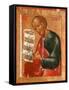 The Prophet Elisha-Terenty Fomin-Framed Stretched Canvas