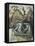 The Prophet Zachariah-Michelangelo Buonarroti-Framed Stretched Canvas