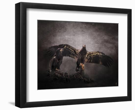 The Protector Juvenile Bald Eagles-Jai Johnson-Framed Premium Giclee Print