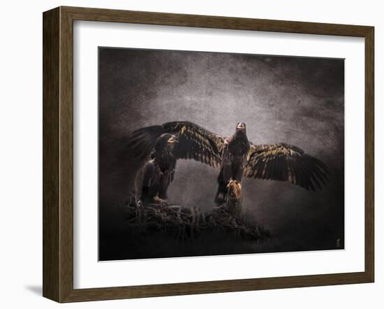 The Protector Juvenile Bald Eagles-Jai Johnson-Framed Giclee Print