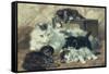 The Proud Mother-Charles Van Den Eycken-Framed Stretched Canvas