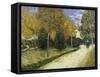 The Public Garden-Vincent van Gogh-Framed Stretched Canvas