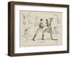 The Pugilistic Kangaroo, Now Performing at the Westminster Aquarium-Phil May-Framed Giclee Print