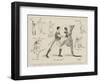 The Pugilistic Kangaroo, Now Performing at the Westminster Aquarium-Phil May-Framed Giclee Print