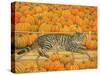 The Pumpkin-Cat, 1995-Ditz-Stretched Canvas