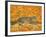 The Pumpkin-Cat, 1995-Ditz-Framed Giclee Print