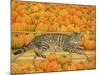 The Pumpkin-Cat, 1995-Ditz-Mounted Giclee Print