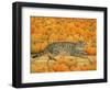 The Pumpkin-Cat, 1995-Ditz-Framed Giclee Print