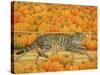 The Pumpkin-Cat, 1995-Ditz-Stretched Canvas