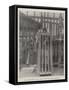 The Punishment of the Cage in the Native City, Shanghai-null-Framed Stretched Canvas