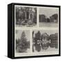 The Purchase of the Villa Borghese by the Italian Government-null-Framed Stretched Canvas