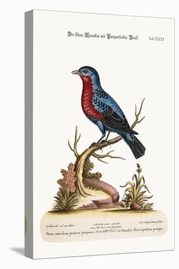 The Purple-Breasted Blue Manakin, 1749-73-George Edwards-Stretched Canvas
