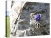 The Purple Heart Award Hangs over the Heart of a U.S. Marine-Stocktrek Images-Stretched Canvas