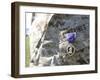 The Purple Heart Award Hangs over the Heart of a U.S. Marine-Stocktrek Images-Framed Photographic Print