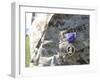 The Purple Heart Award Hangs over the Heart of a U.S. Marine-Stocktrek Images-Framed Photographic Print