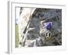 The Purple Heart Award Hangs over the Heart of a U.S. Marine-Stocktrek Images-Framed Photographic Print