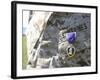 The Purple Heart Award Hangs over the Heart of a U.S. Marine-Stocktrek Images-Framed Photographic Print