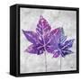 The Purple Leaves on Silver I-Patricia Pinto-Framed Stretched Canvas