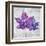 The Purple Leaves on Silver I-Patricia Pinto-Framed Art Print