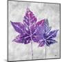 The Purple Leaves on Silver I-Patricia Pinto-Mounted Art Print