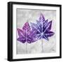 The Purple Leaves on Silver II-Patricia Pinto-Framed Premium Giclee Print