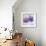 The Purple Leaves on Silver II-Patricia Pinto-Framed Premium Giclee Print displayed on a wall