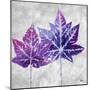 The Purple Leaves on Silver II-Patricia Pinto-Mounted Premium Giclee Print