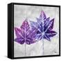 The Purple Leaves on Silver II-Patricia Pinto-Framed Stretched Canvas