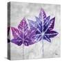 The Purple Leaves on Silver II-Patricia Pinto-Stretched Canvas