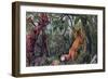 The Puzzled Fox, 1872-Currier & Ives-Framed Giclee Print