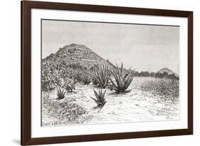 The Pyramid of the Sun, Teotihuacan, Mexico-null-Framed Giclee Print