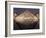 The Pyramide Du Louvre, Paris, France-William Sutton-Framed Photographic Print