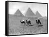 The Pyramids of Giza, Cairo, Egypt, C1920S-null-Framed Stretched Canvas