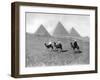 The Pyramids of Giza, Cairo, Egypt, C1920S-null-Framed Giclee Print