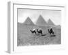 The Pyramids of Giza, Cairo, Egypt, C1920S-null-Framed Giclee Print