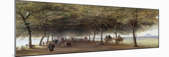 The Pyramids Road, Gizeh, 1873-Edward Lear-Mounted Giclee Print