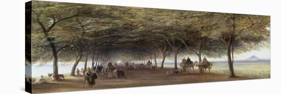 The Pyramids Road, Gizeh, 1873-Edward Lear-Stretched Canvas